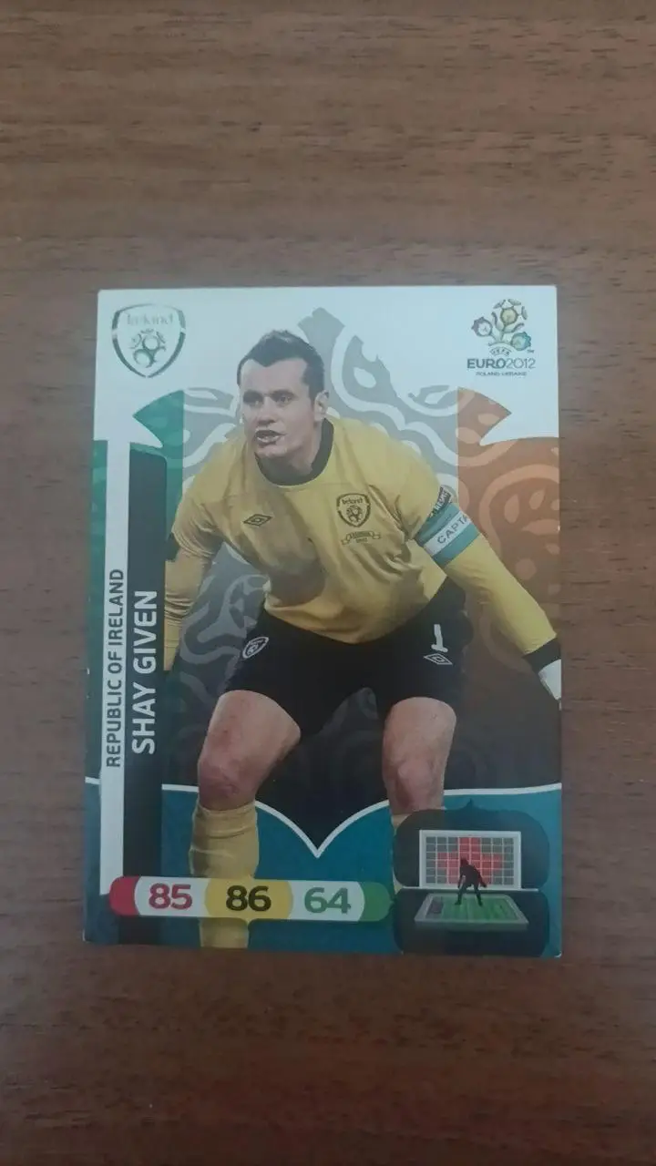 Карточка Panini Евро 2012. Ирландия Shay Given