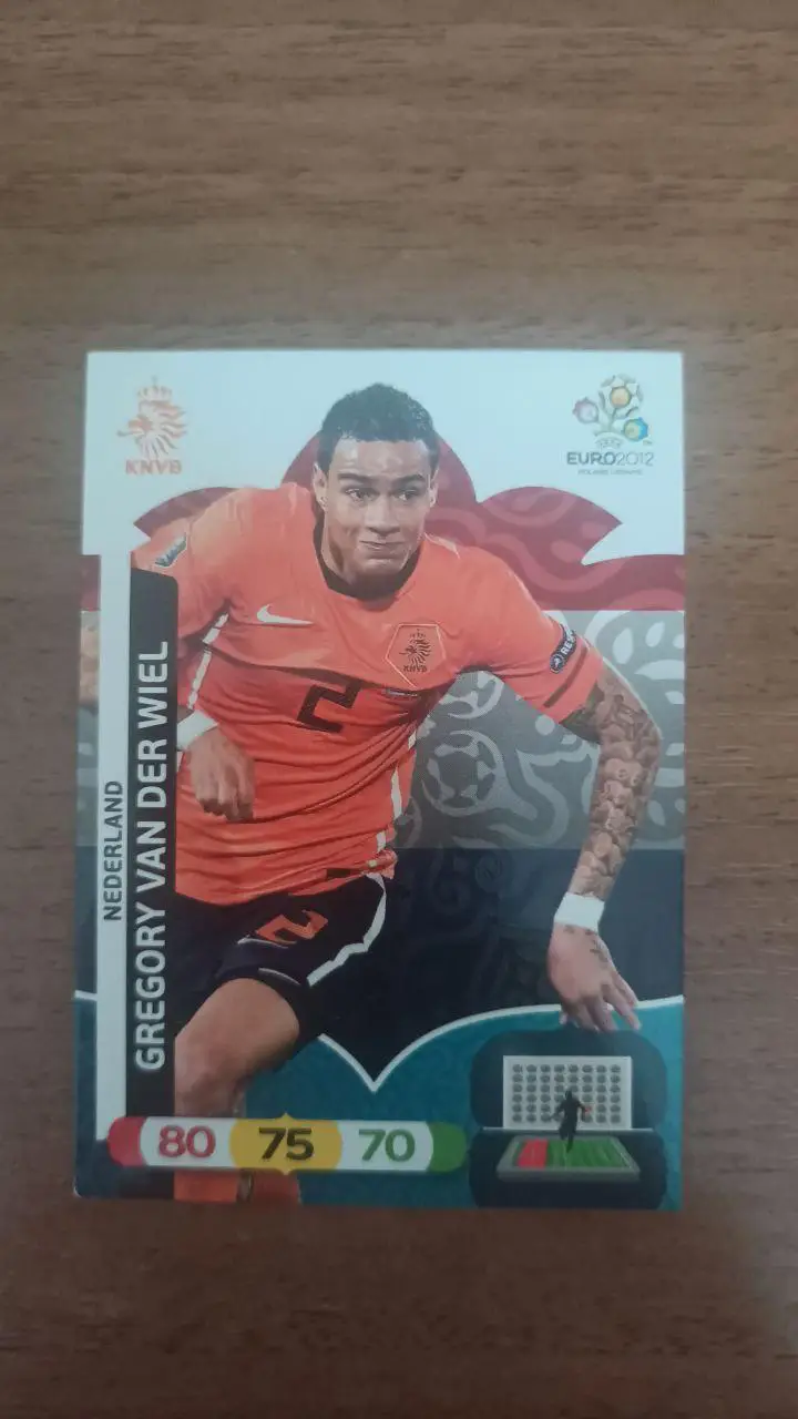Карточка Panini Евро 2012. Голландия Gregory Van Der Wiel