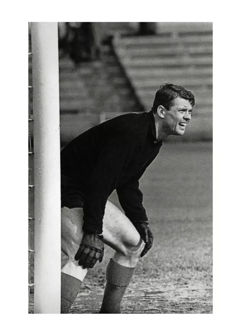 Алёшин П.Н. Борис Разинский. Вратарь оригинального жанра. М, 2025, 344 стр, 245. 2