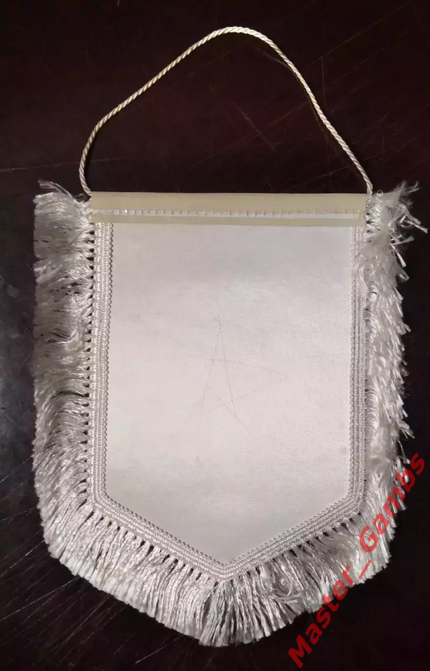 Вымпел Динамо Киев - Вместе к победе! / Разом до перемоги! 1