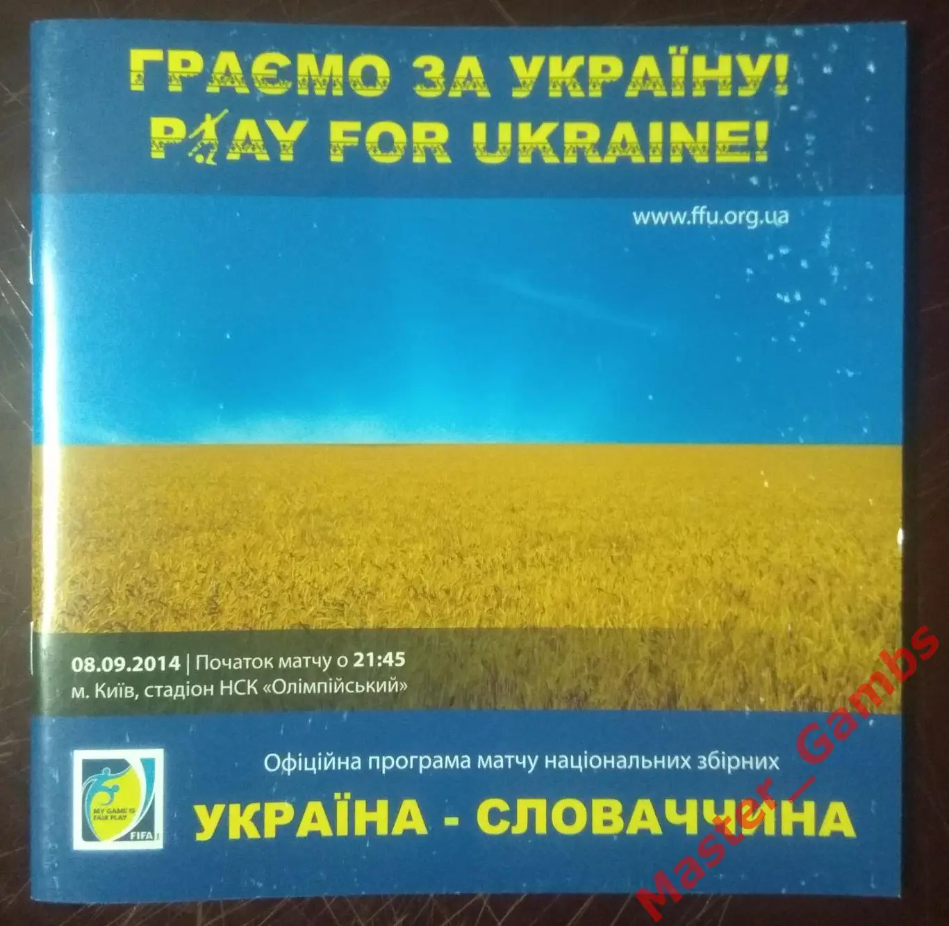 Украина - Словакия 2014