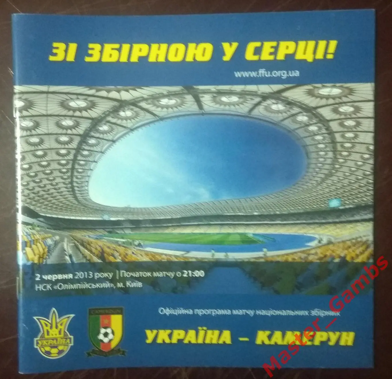 Украина - Камерун 2013