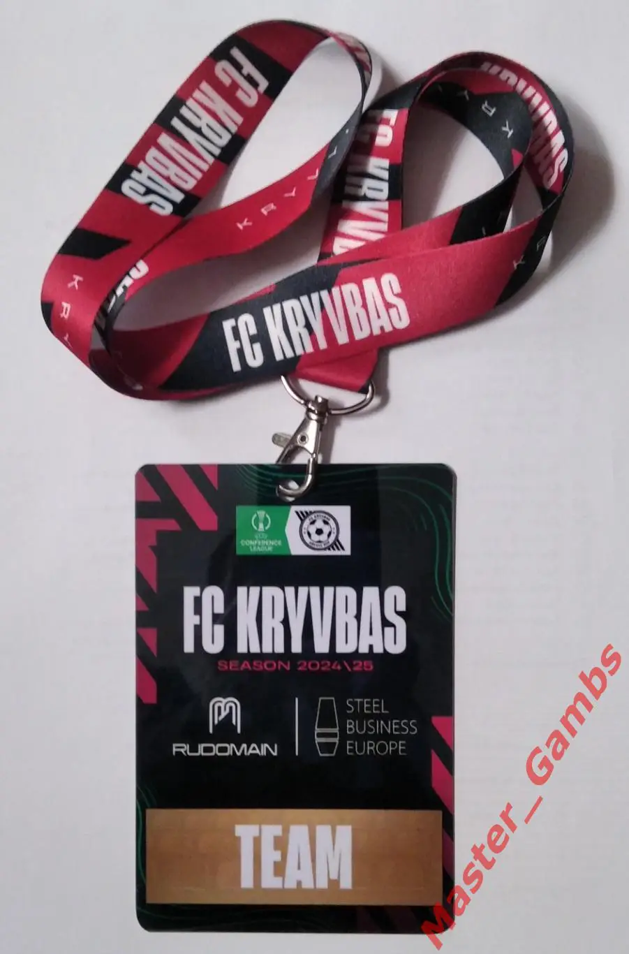 Пропуск (бейдж) Кривбасс Кривой Рог Украина - Реал Бетис Севилья Испания 2024 1