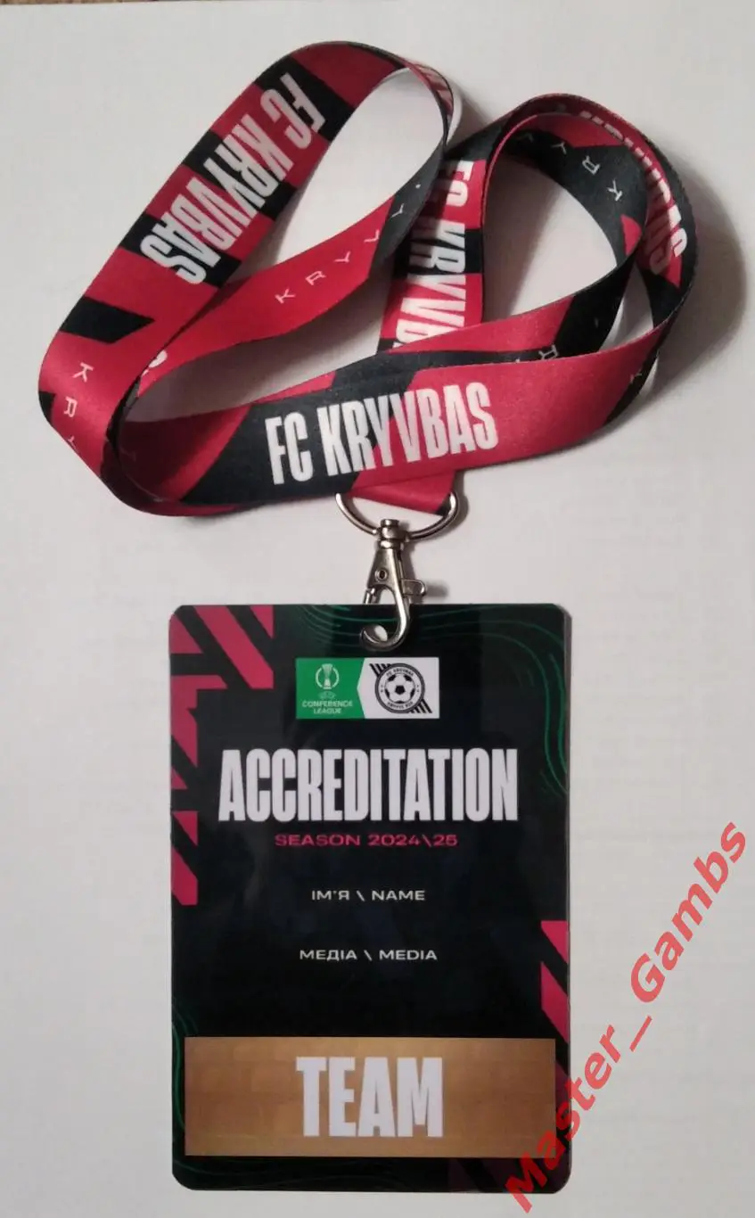 Пропуск (бейдж) Кривбасс Кривой Рог Украина - Реал Бетис Севилья Испания 2024