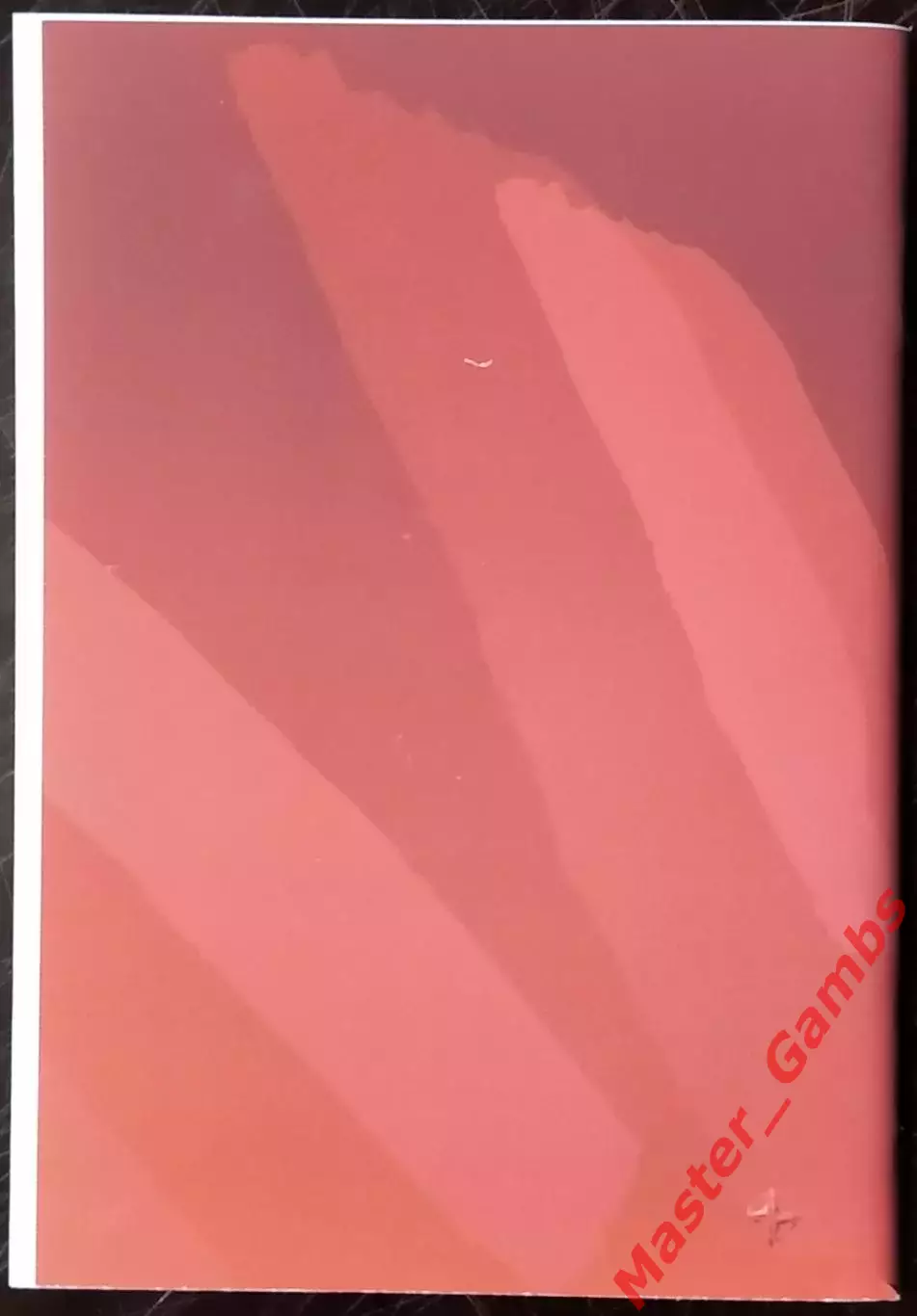 Гнатюк - 50 сезонов Кривбасса 1959 - 2008 г.г. ( Кривой Рог ) 2008 2