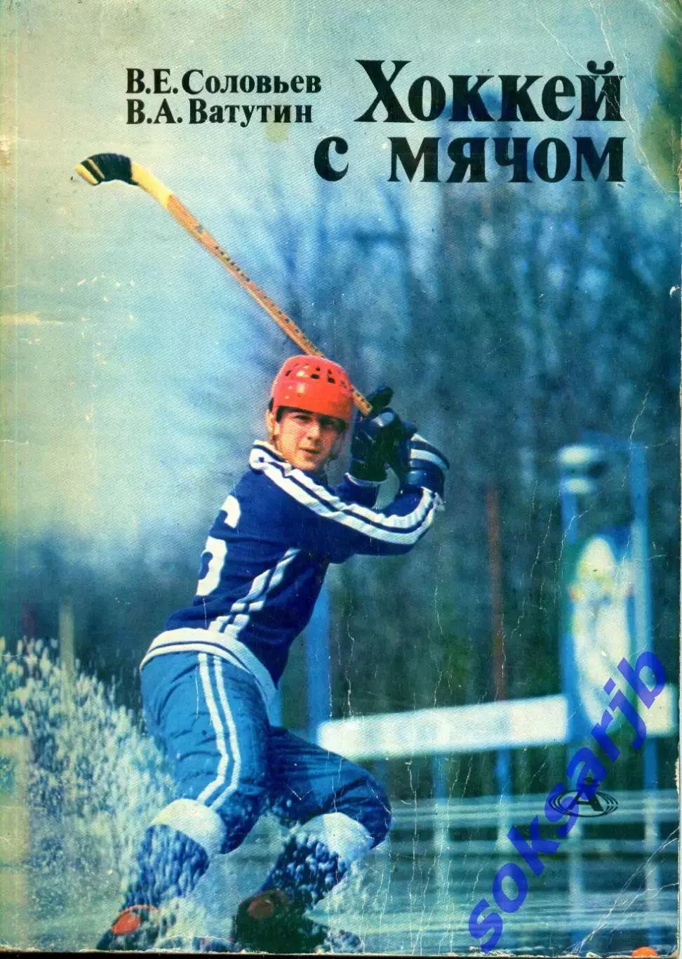 1980. В.Е.Соловьев,В.А.Ватутин. Хоккей с мячом.Азбука спорта. ФиС.