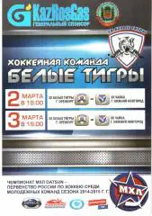 2015.03.2-3. Белые Тигры Оренбург - Чайка Нижний Новгород.