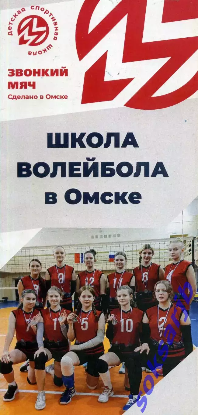 Буклет Школа волейбола в Омске.