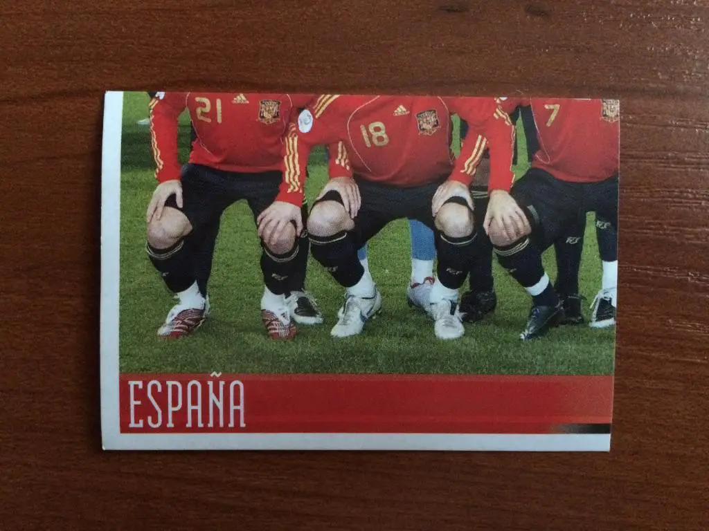 PANINI Чемпионат Европы 2008 Team Photo (puzzle 3) Испания № 413