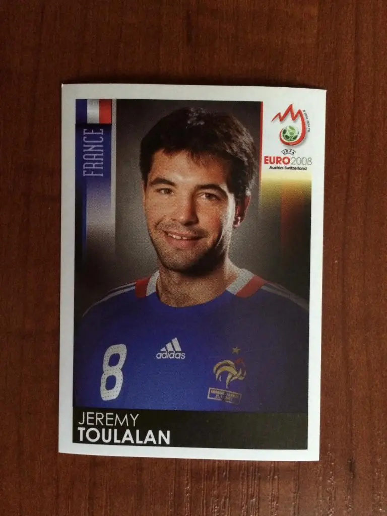 PANINI Чемпионат Европы 2008 Jeremy Toulalan Франция № 348