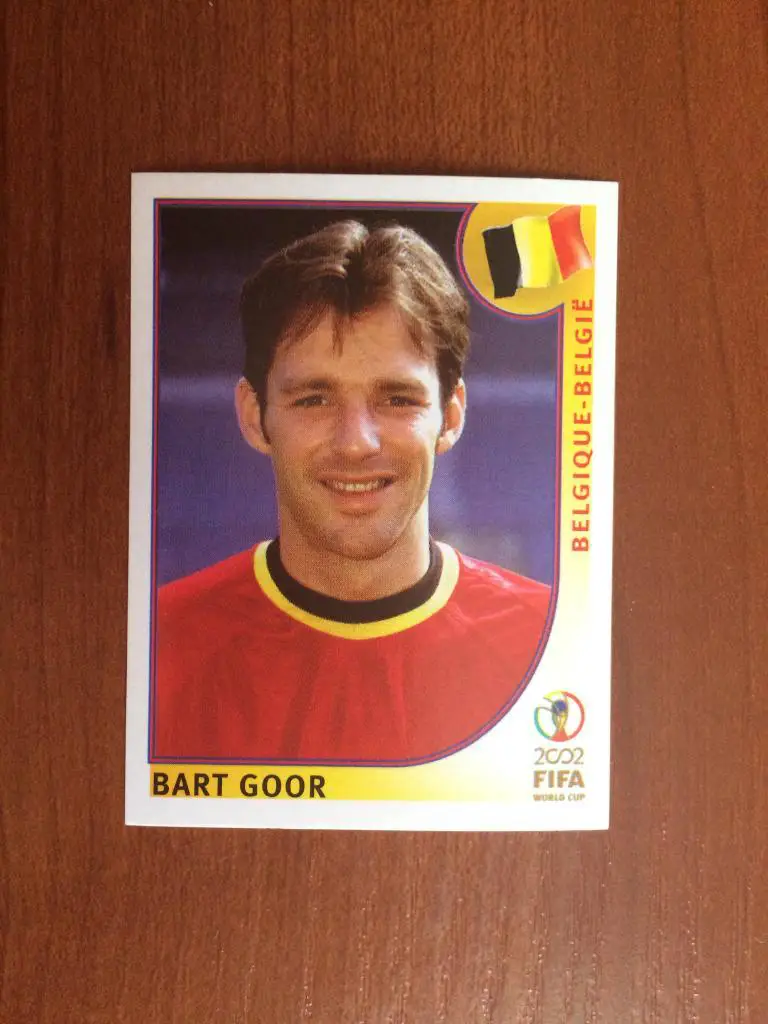 Наклейка PANINI Чемпионат Мира 2002 Bart Goor № 561