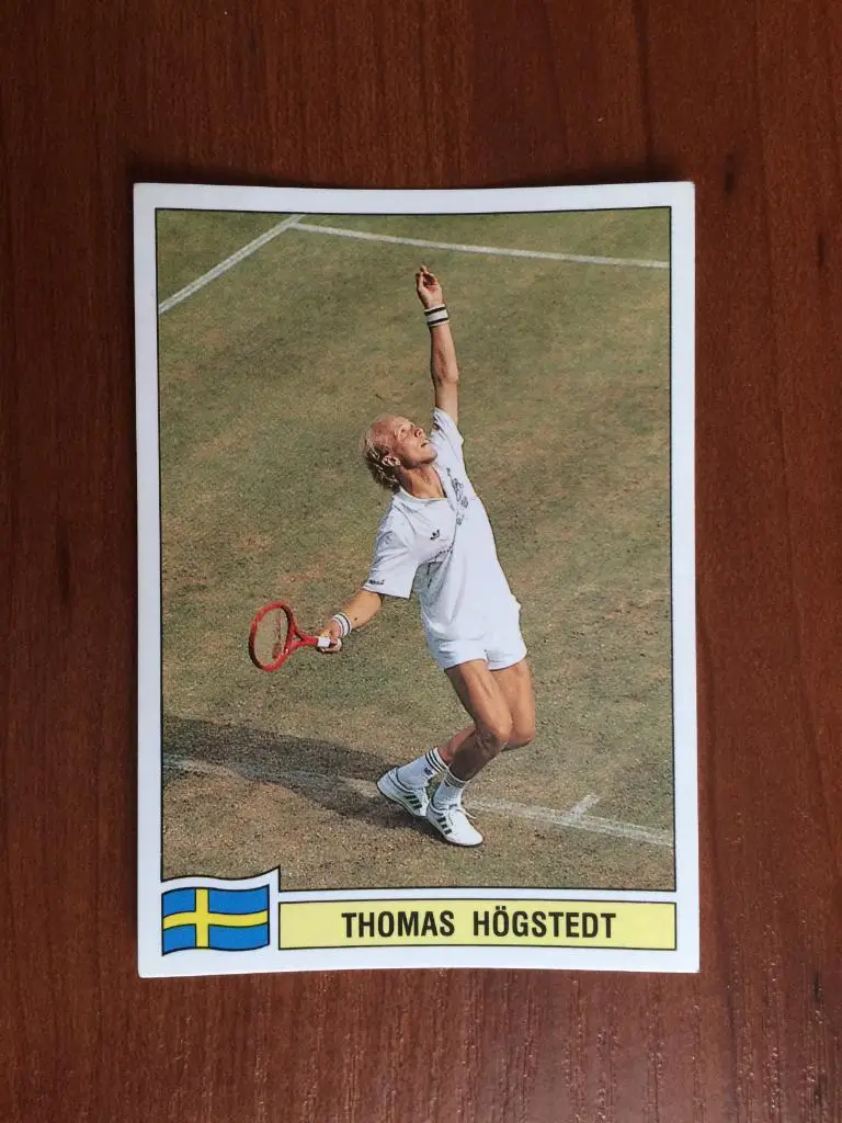 Наклейка PANINI Теннис 1994 Tomas Hogstedt № 87