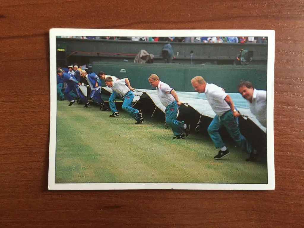 Наклейка PANINI Теннис 1994 Rain On Wibledon № 239