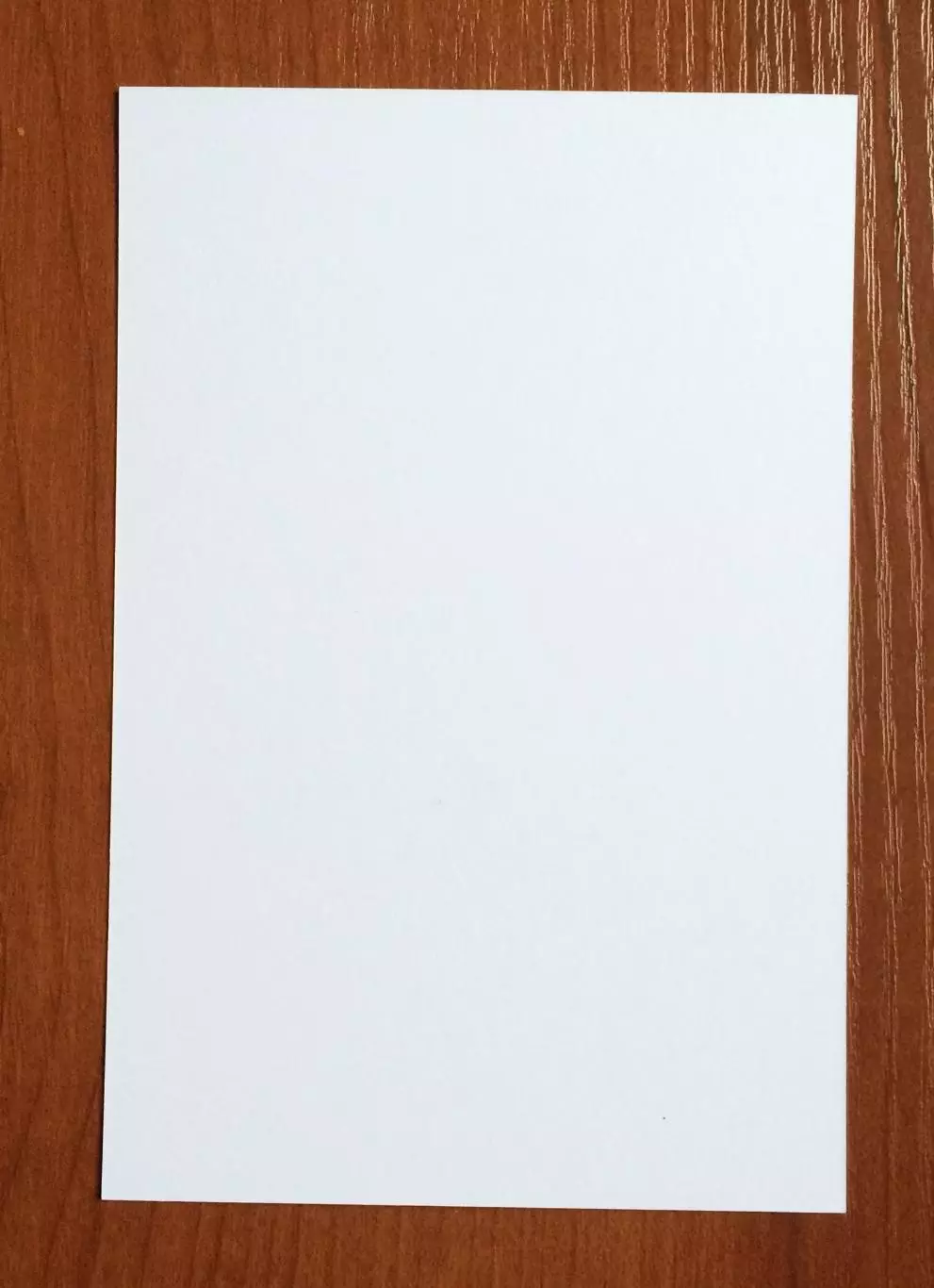 Эль Мехди Маухуб ФК Динамо Москва на офиц. открытке Братский кубок 2025 год 2