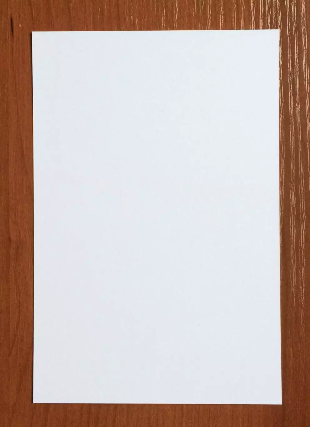 Милан Майсторович ФК Динамо Москва на офиц. открытке Братский кубок 2025 год 2