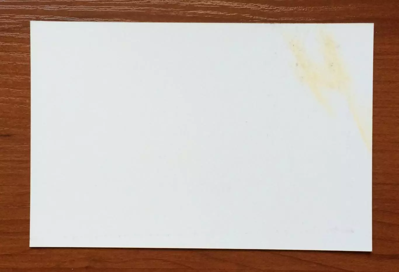 Автограф Азалия Аминева бокс 2