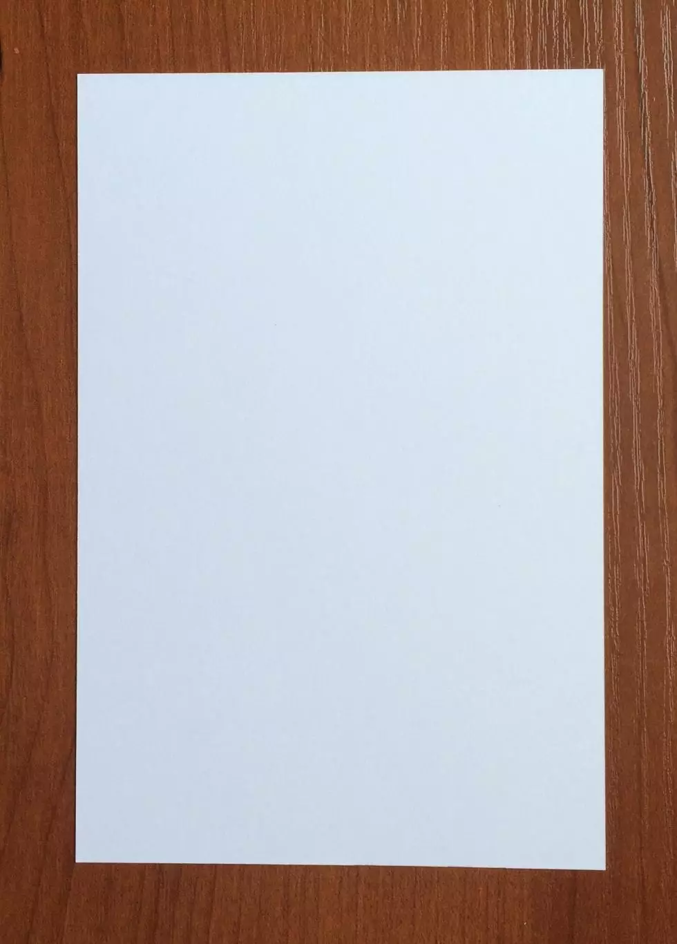 Автограф Виктор Гусев на официальной открытке Братский кубок 2025 год 2