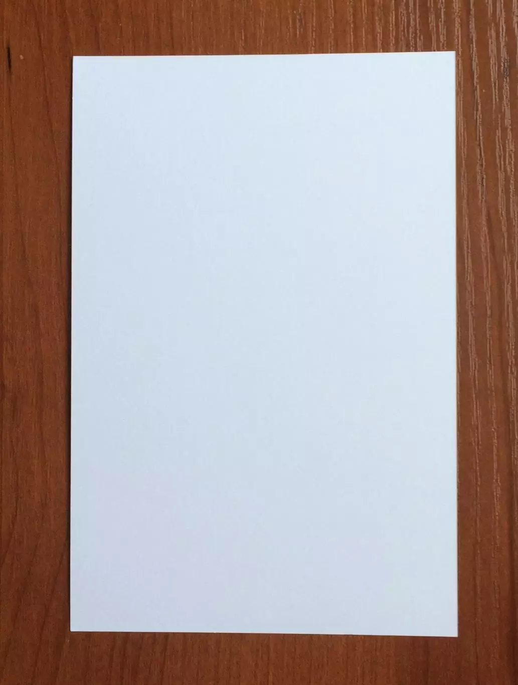 Автограф Владимир Пильгуй на официальной открытке Братский кубок 2025 год 2