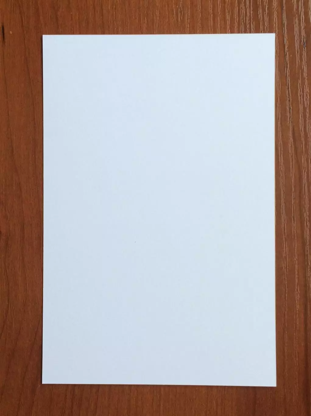 Автограф Алексей Прудников на официальной открытке Братский кубок 2025 год 2