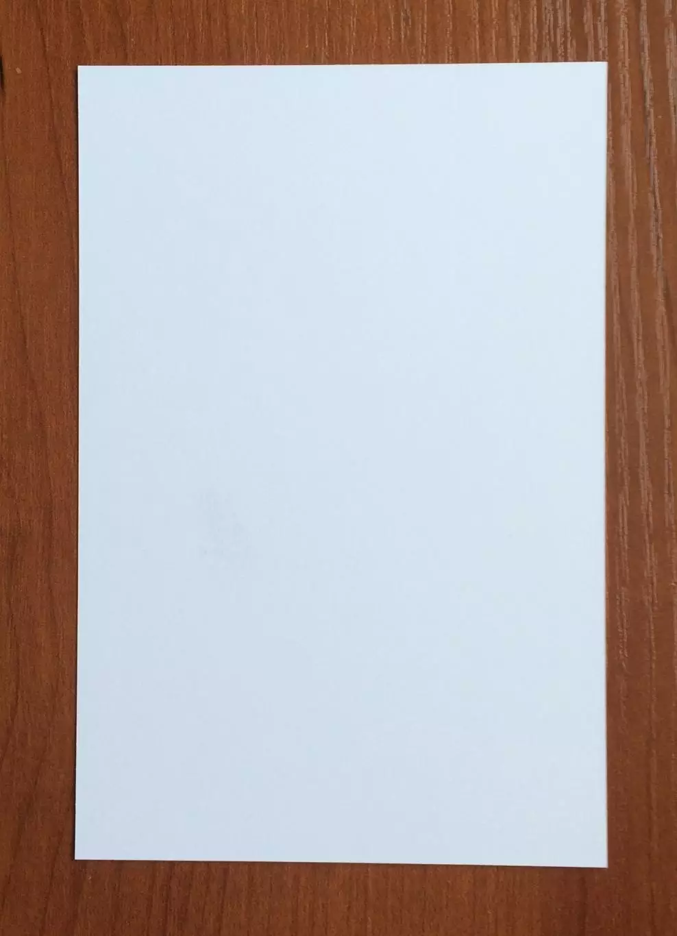 Кирилл Панченко ФК Динамо Москва на официальной открытке Братский кубок 2025 год 2