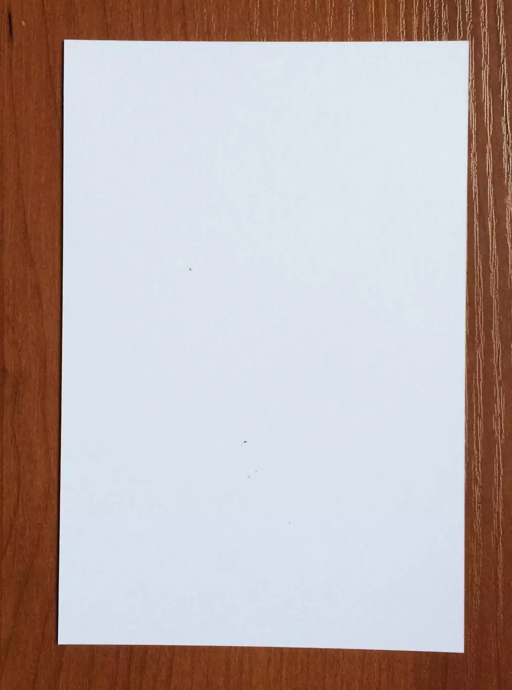 Автограф Алексей Шальнов комик на официальной открытке от ФК Динамо Москва 2