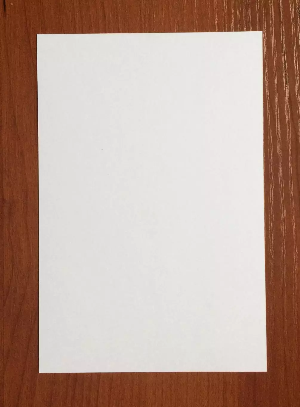 Автограф Владимир Пильгуй ФК Динамо Москва на официальной открытке 2