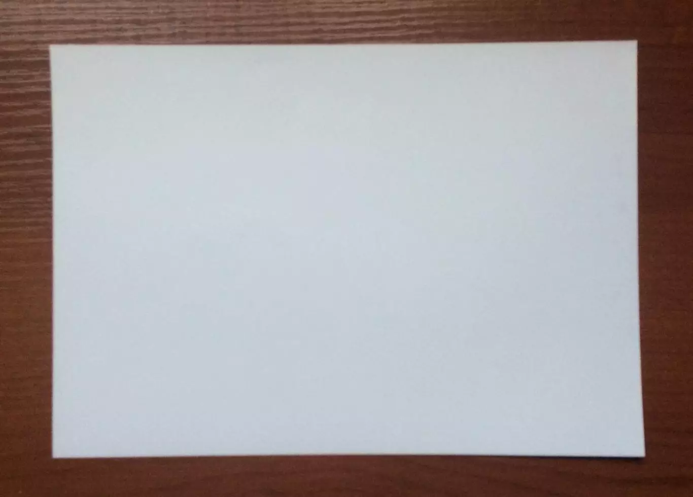 Автограф Вадим Немков российский боец смешанных единоборств размер 210мм * 148мм 2