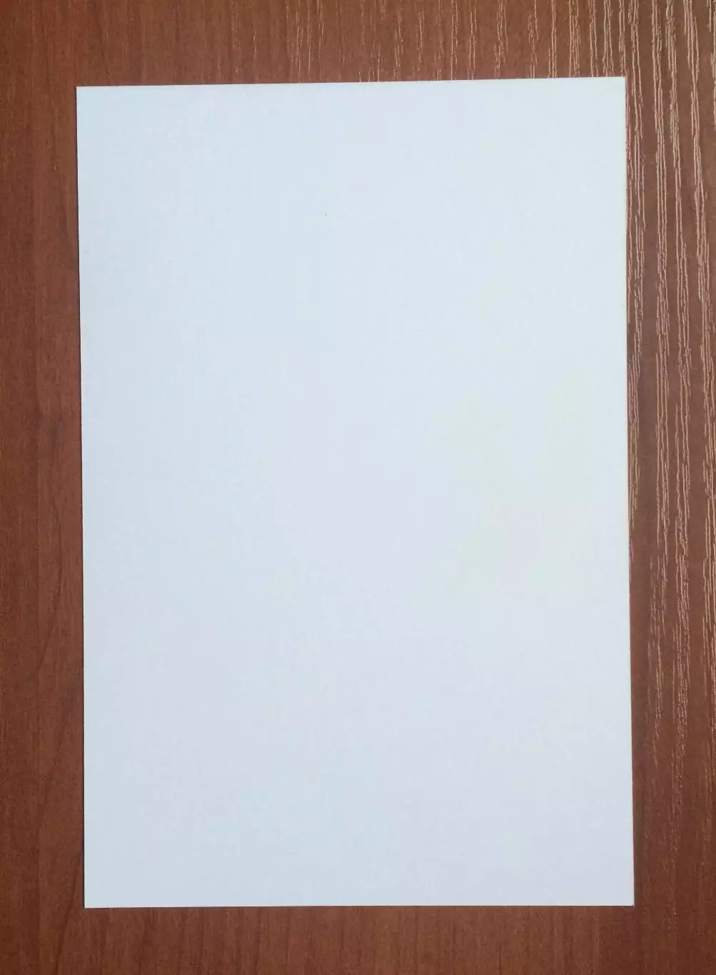 Автограф Виктор Гусев на официальной открытке Братский кубок 2025 год 2