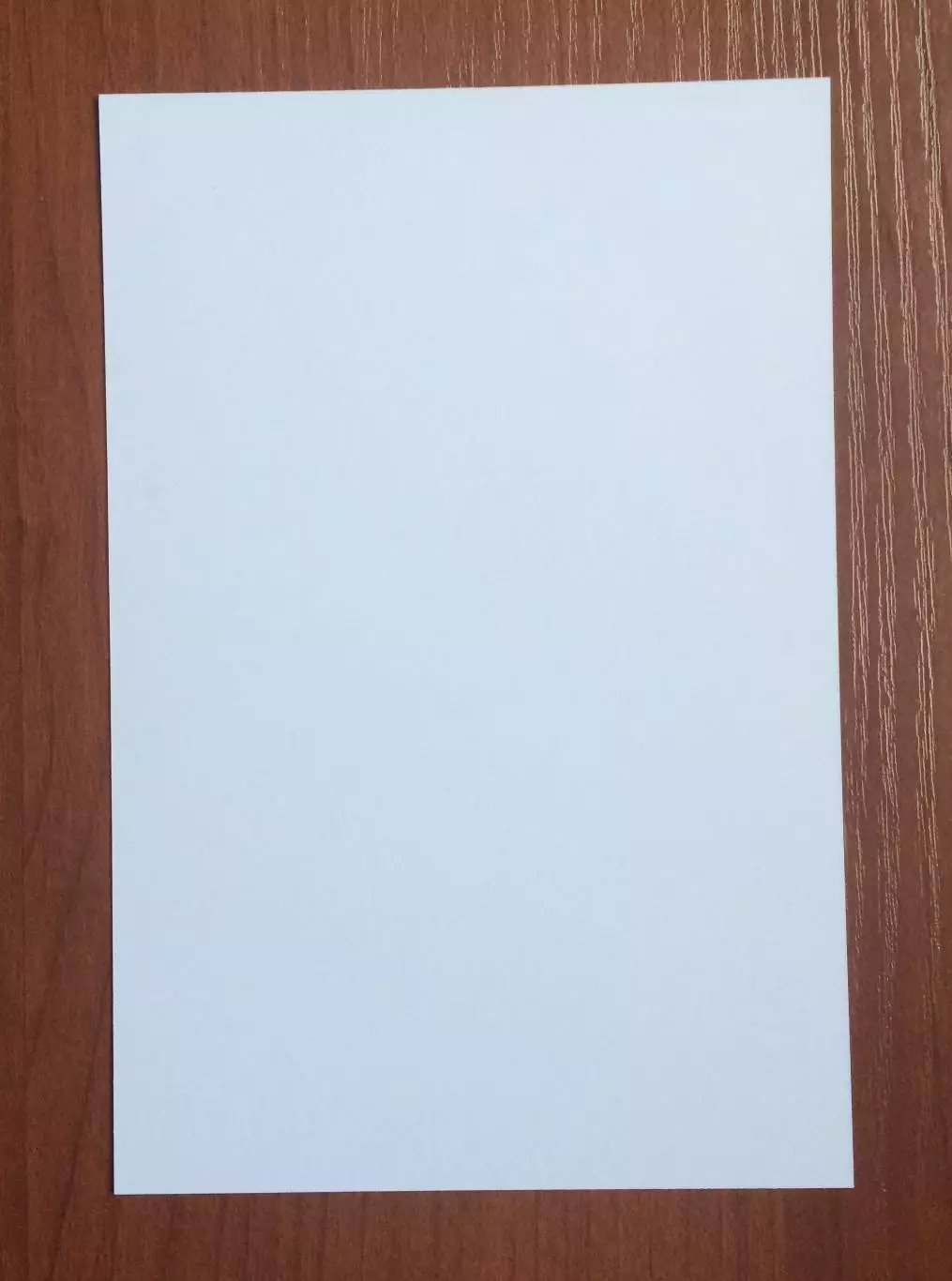 Кирилл Панченко ФК Динамо Москва на официальной открытке Братский кубок 2025 год 2