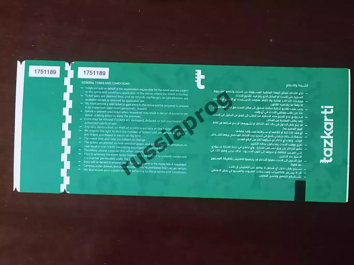 2026 Египет - Россия (Билет) Egypt - Russia 1