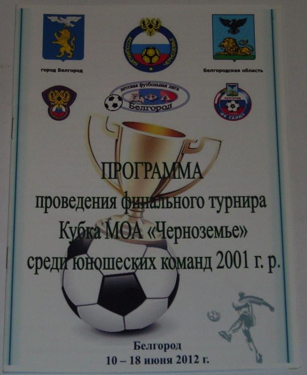 КУБОК Черноземье 2012 Белгород Тула Липецк Волгоград Курск Воронеж Орел юноши