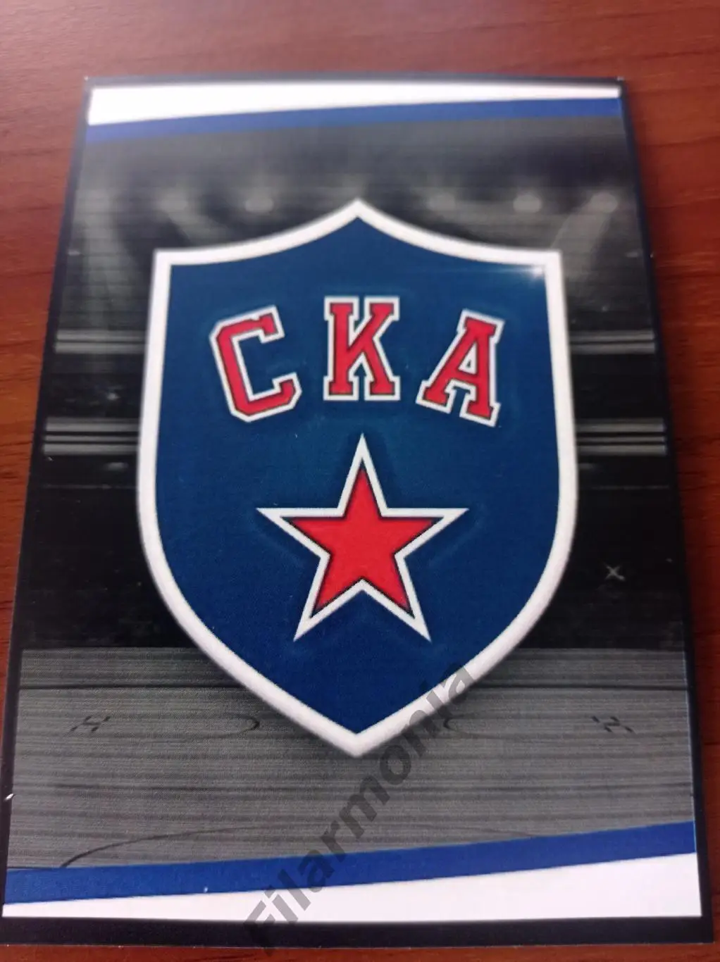 2024 СКА Санкт -Петербург