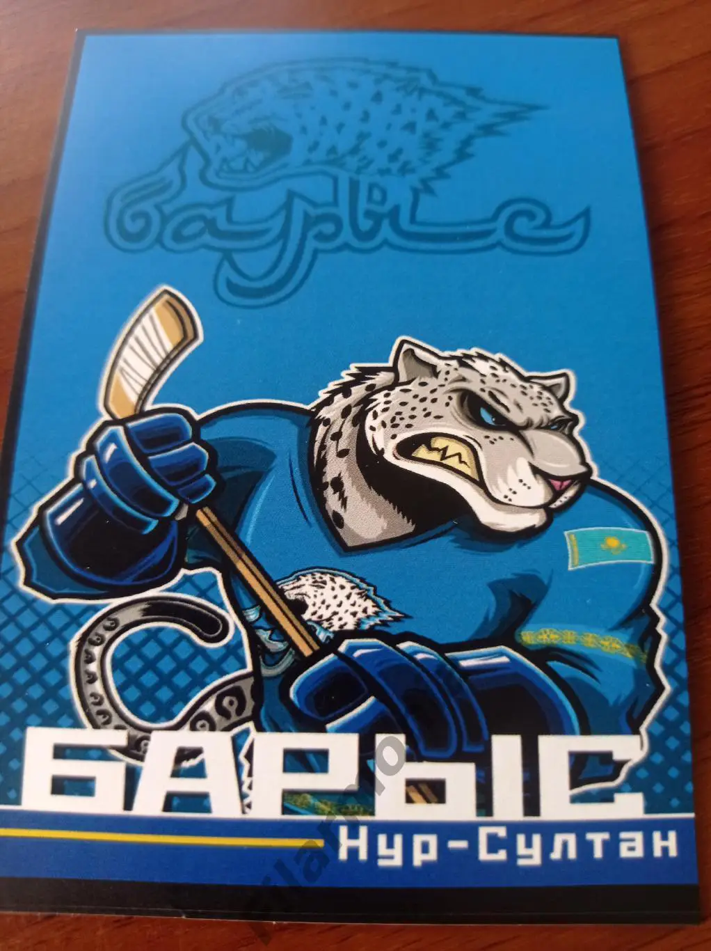 2024 Барыс Нур-Султан