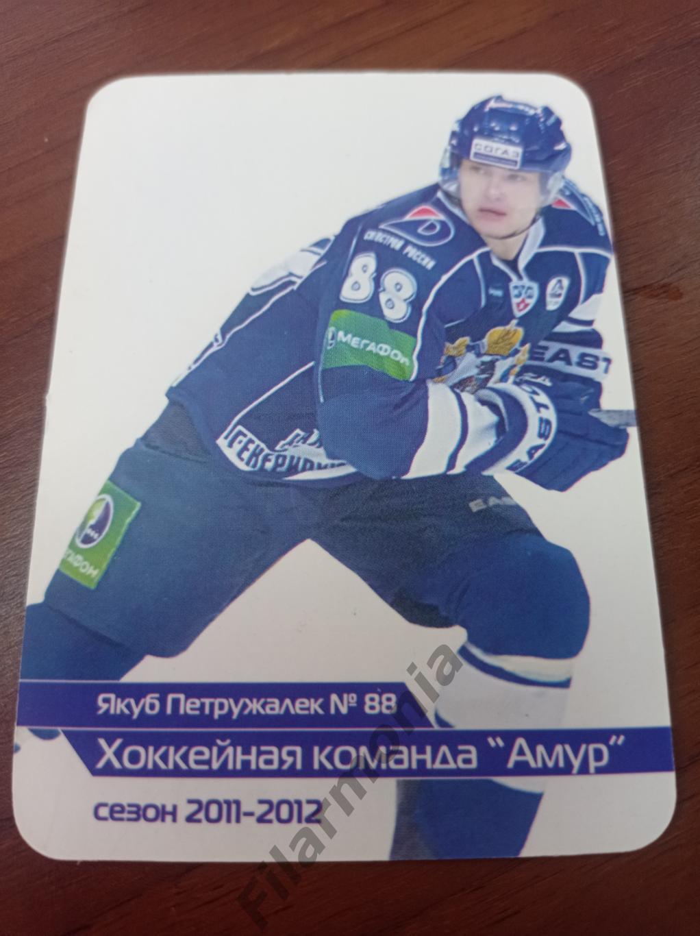 2011-2012 Амур Хабаровск Якуб Петружалек