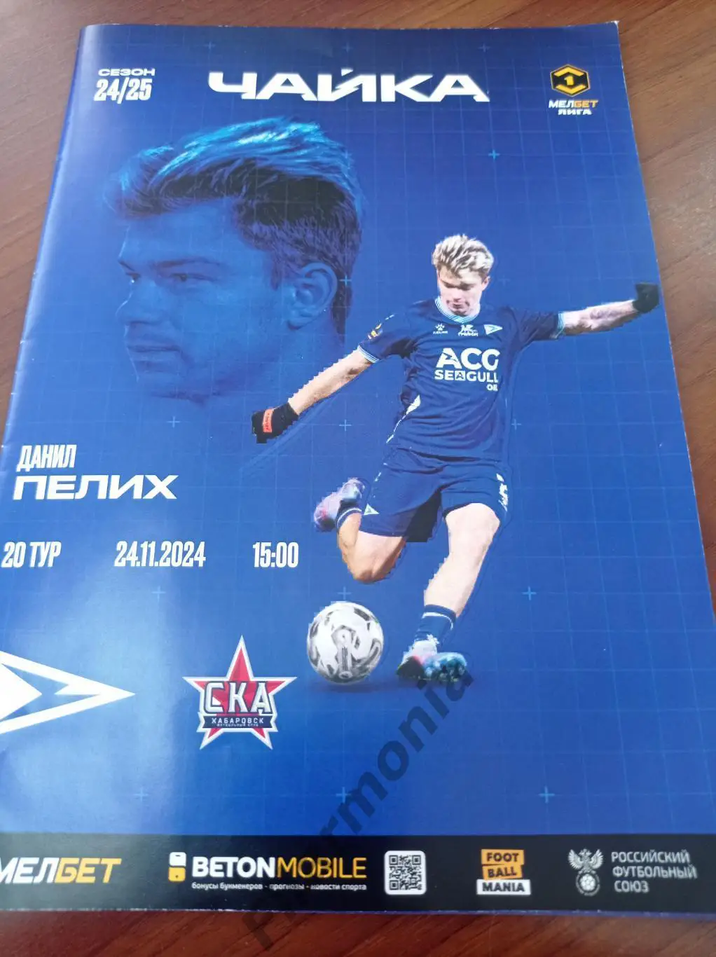 2024 Чайка Песчанокопское - СКА Хабаровск