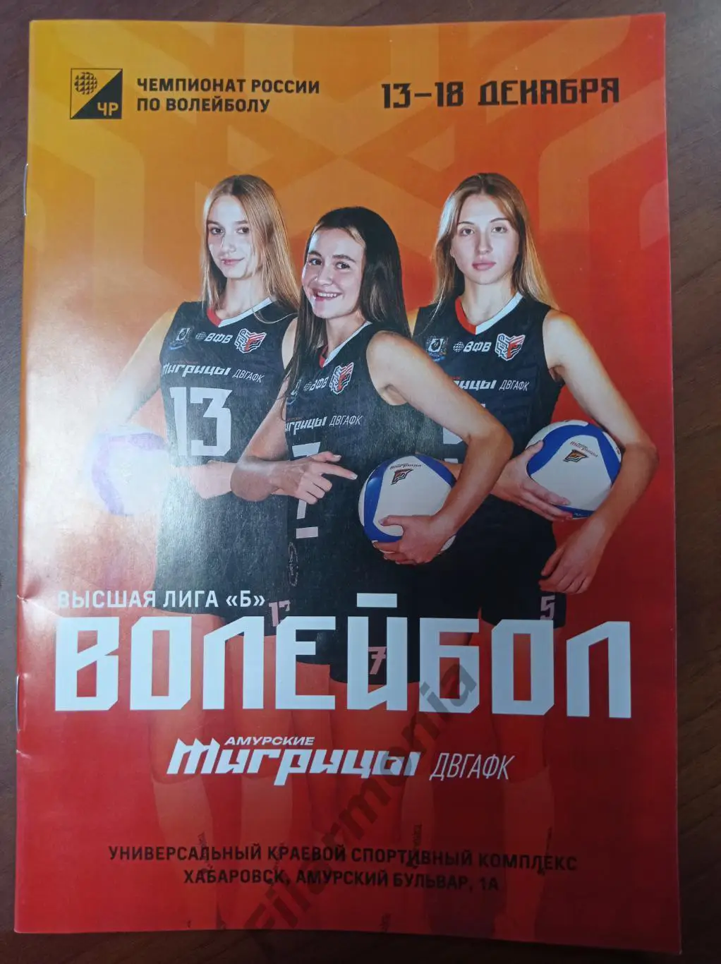 2024 Тигрицы ДВГАФК Хабаровск, Барнаул, Чита, Челябинск, Иркутск, Новосибирская