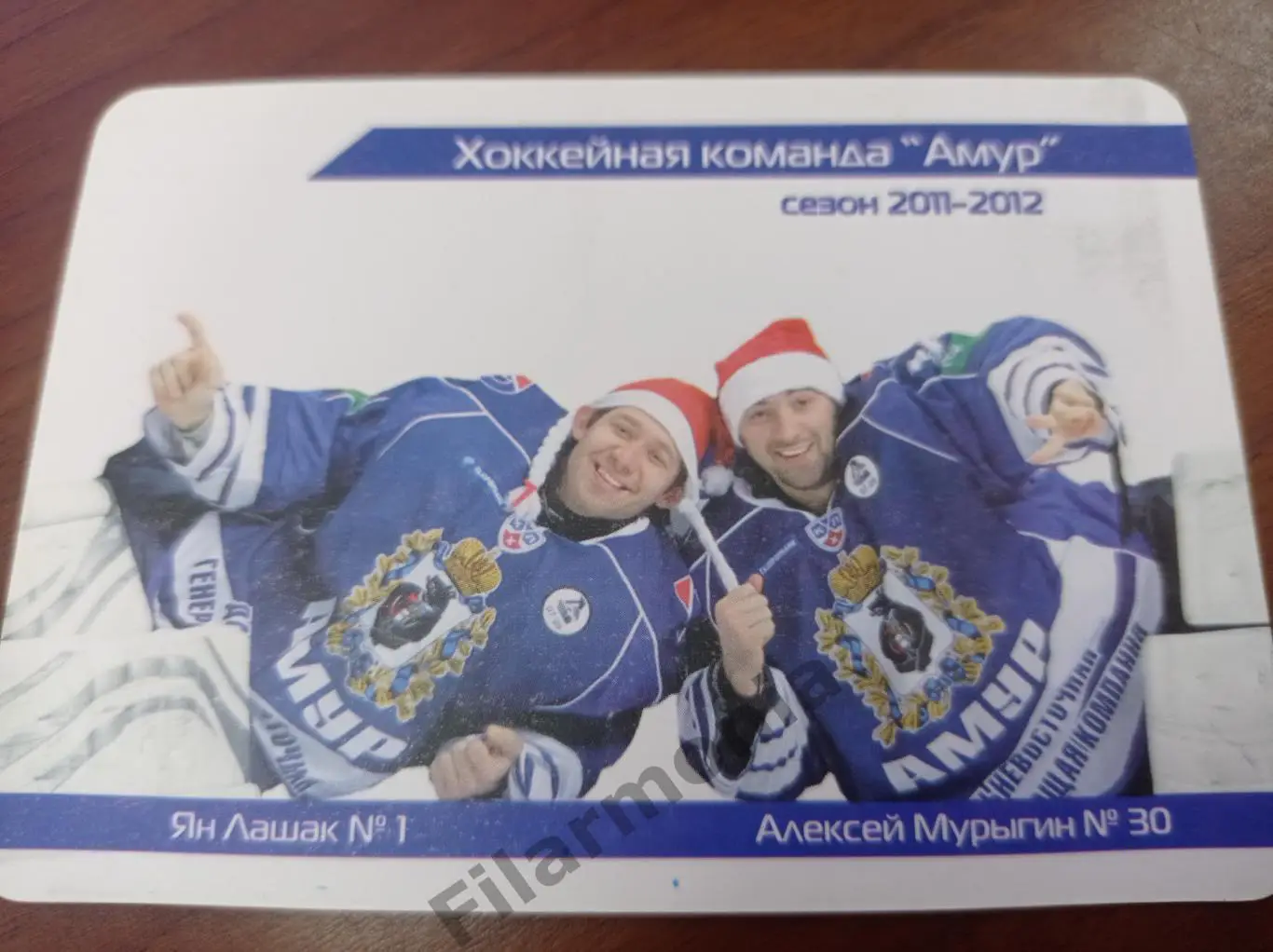 2011-2012 Амур Хабаровск Ян Лашак, Алексей Мурыгин