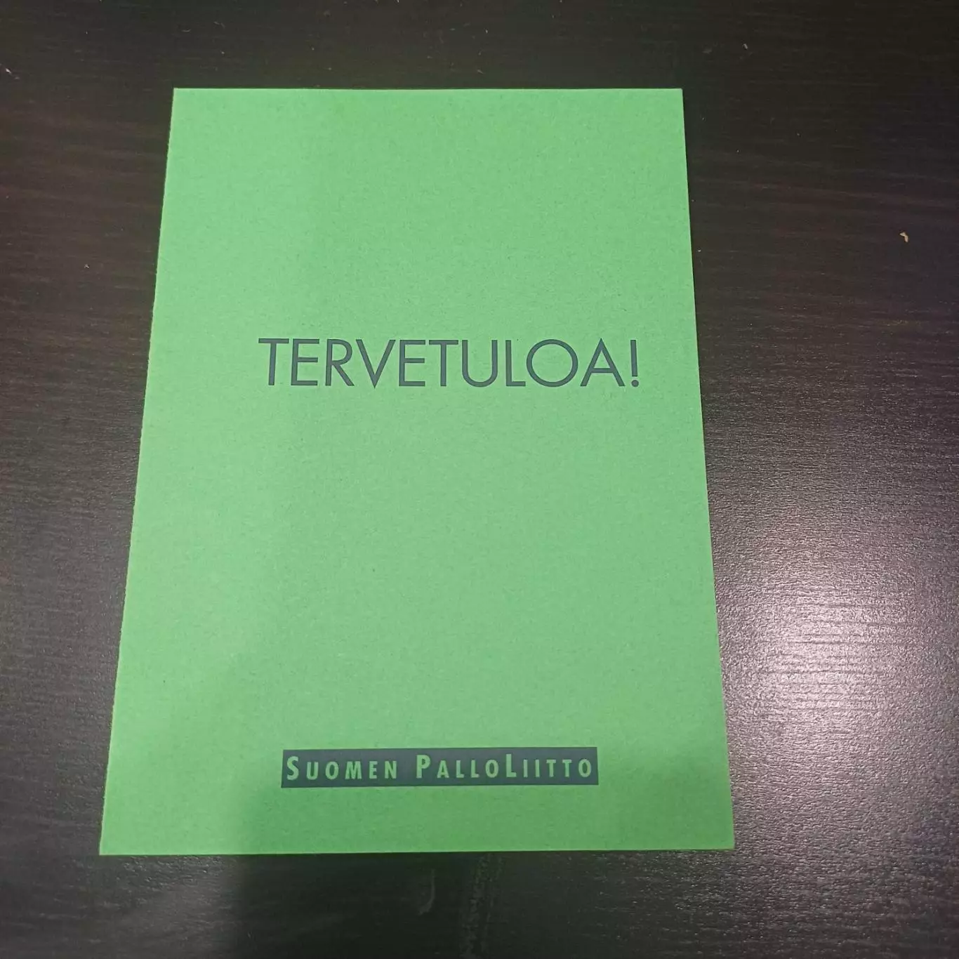 Финляндия - Россия 1995