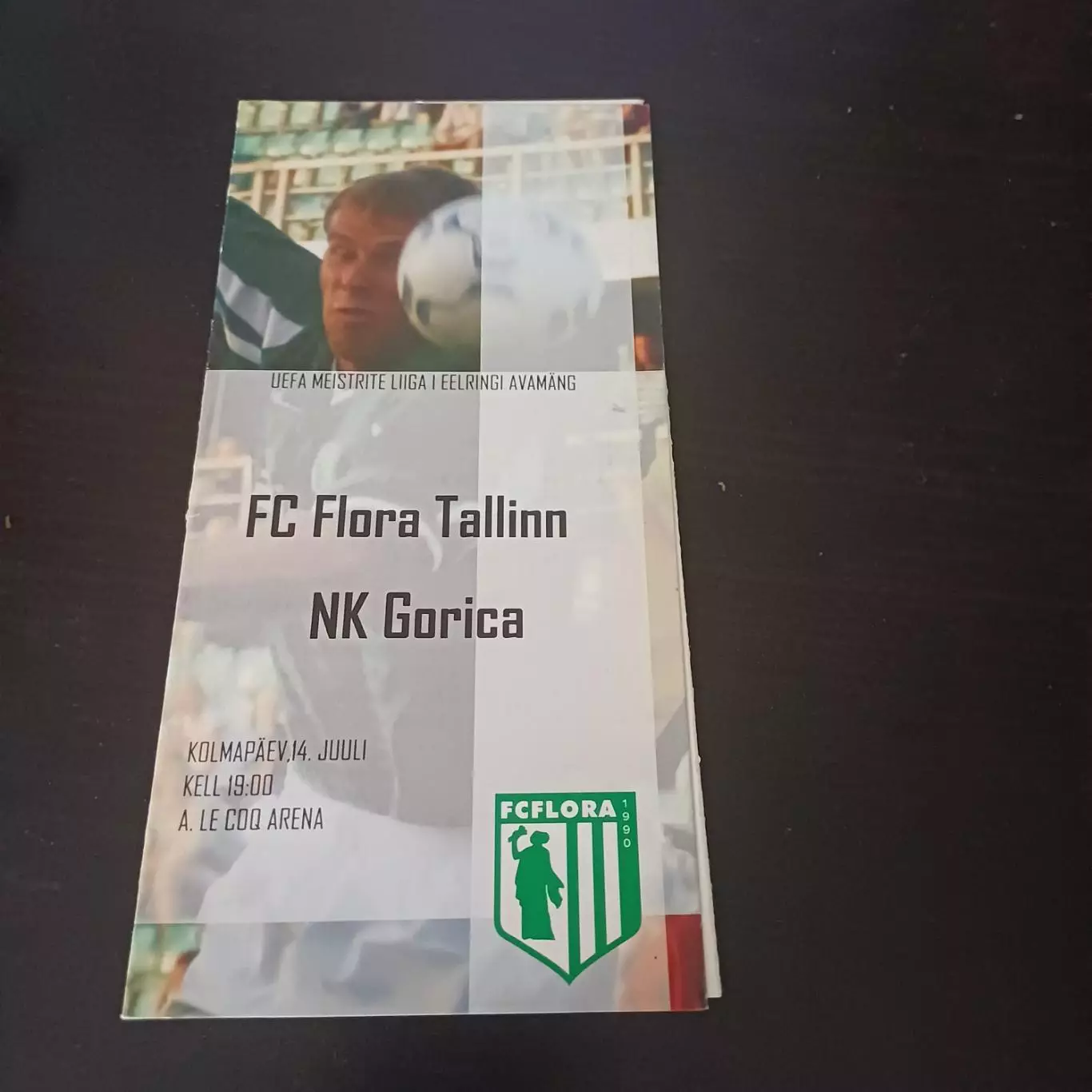Флора - Горица 2004