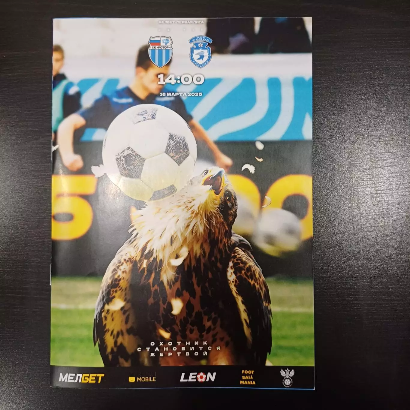 Ротор - Сокол 2025