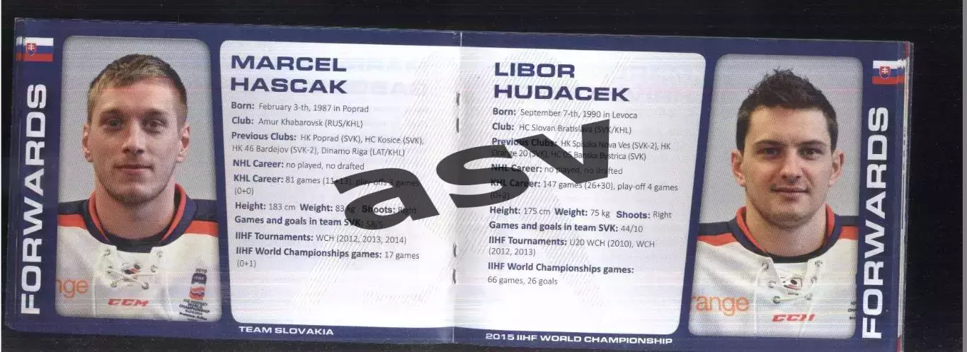 Чемпионат Мира по хоккею / Словакия — 01-17.05.2015 Медиа Гайд 1