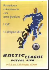 Балтийская любительская лига. 1 лига — 04-05.02.2012 Гусев Участники на скане
