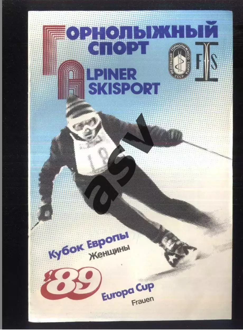 1989 Горнолыжный спорт Кубок Европы Женщины — 25.02.1989 Гудаури