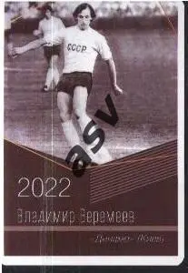 Владимир Веремеев / Динамо Киев / Виртуозы отечественного футбола / 2022