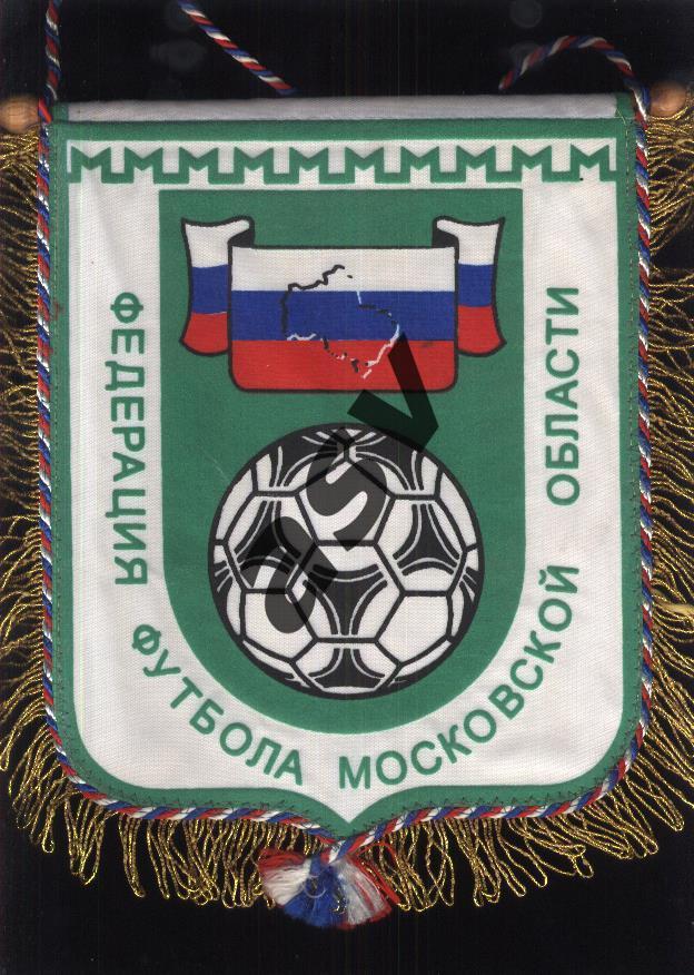 Федерация футбола Московской области