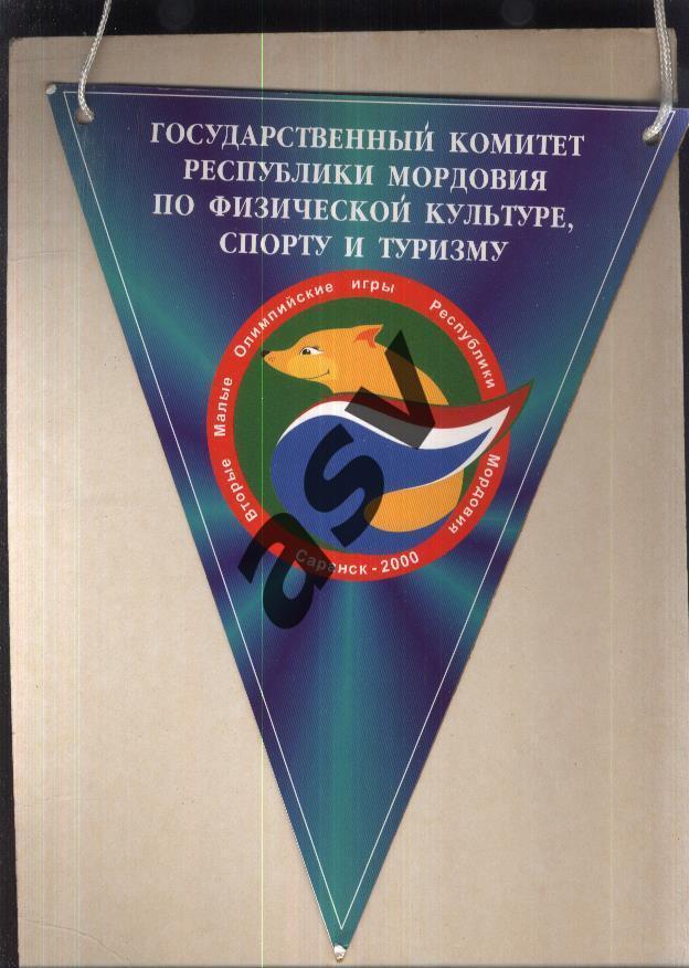 Вторые малые олимпийские игры республики Мордовии Саранск 2000 1