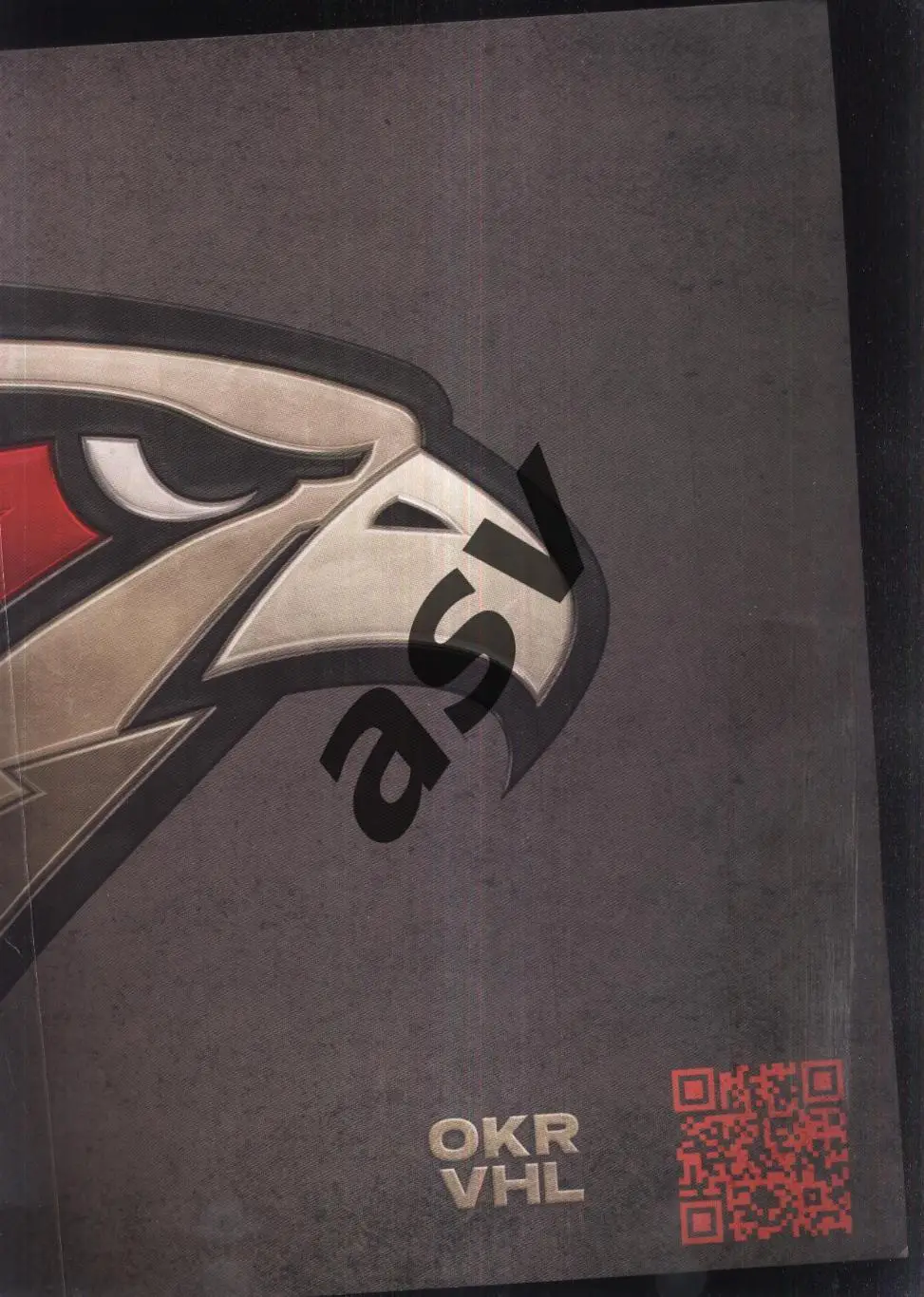 Омские крылья Омск / Омские ястребы Омск / трещетка 1