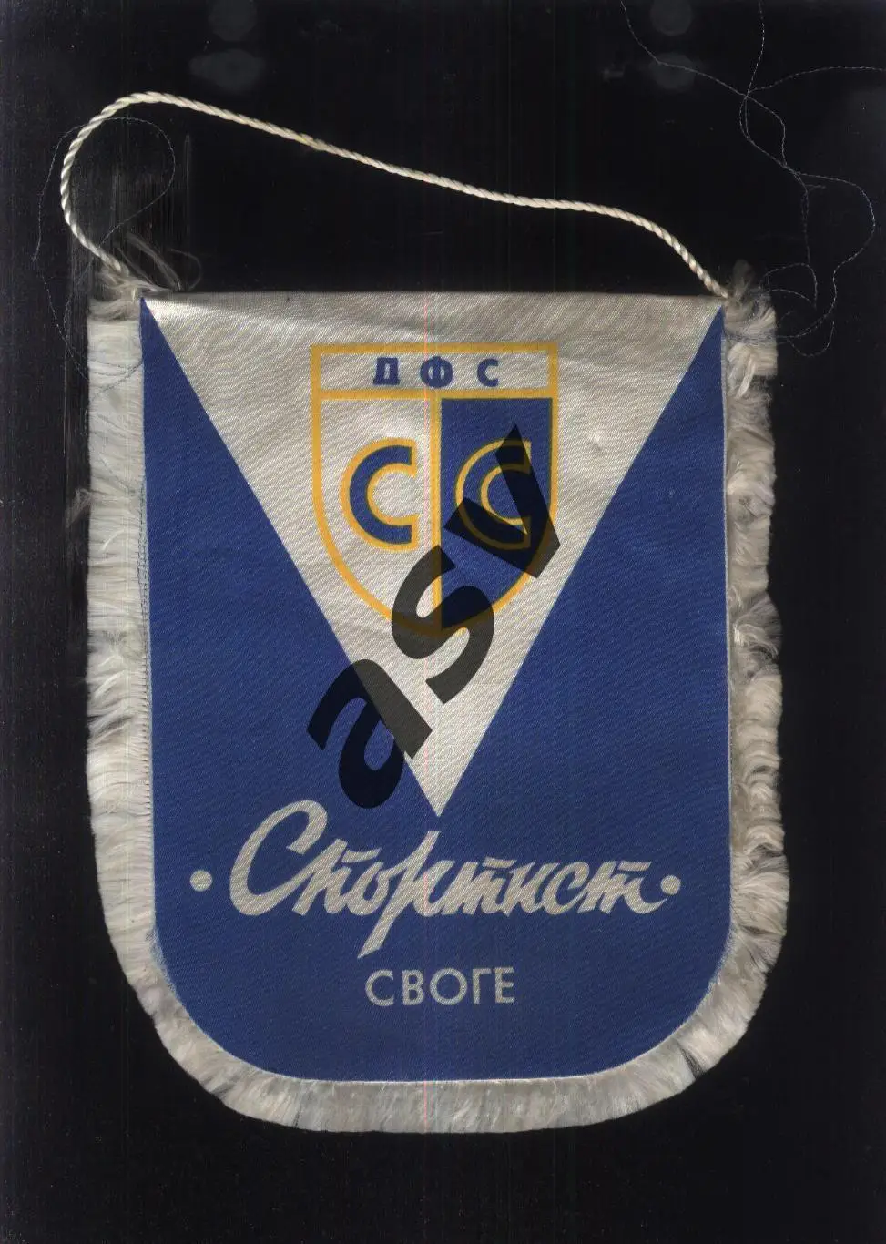 Спортист Своге Болгария