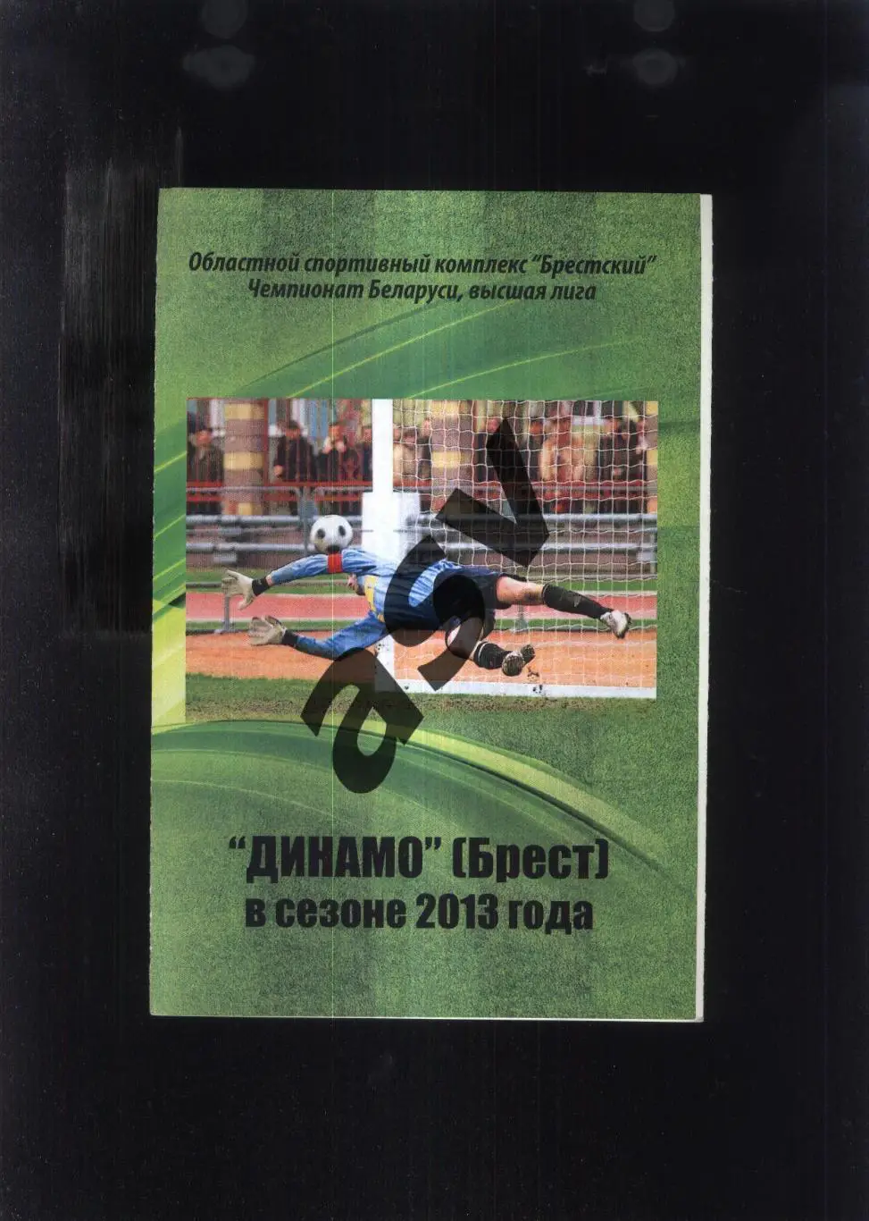 Динамо Брест в сезоне 2013 года