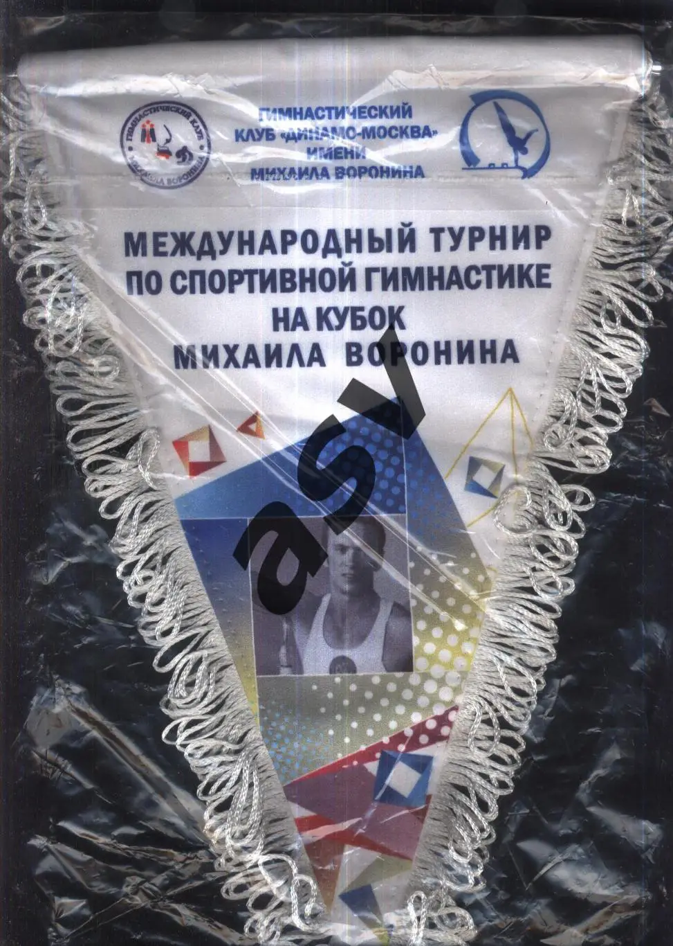 Международный турнир Кубок Михаила Воронина по спортивной гимнастике